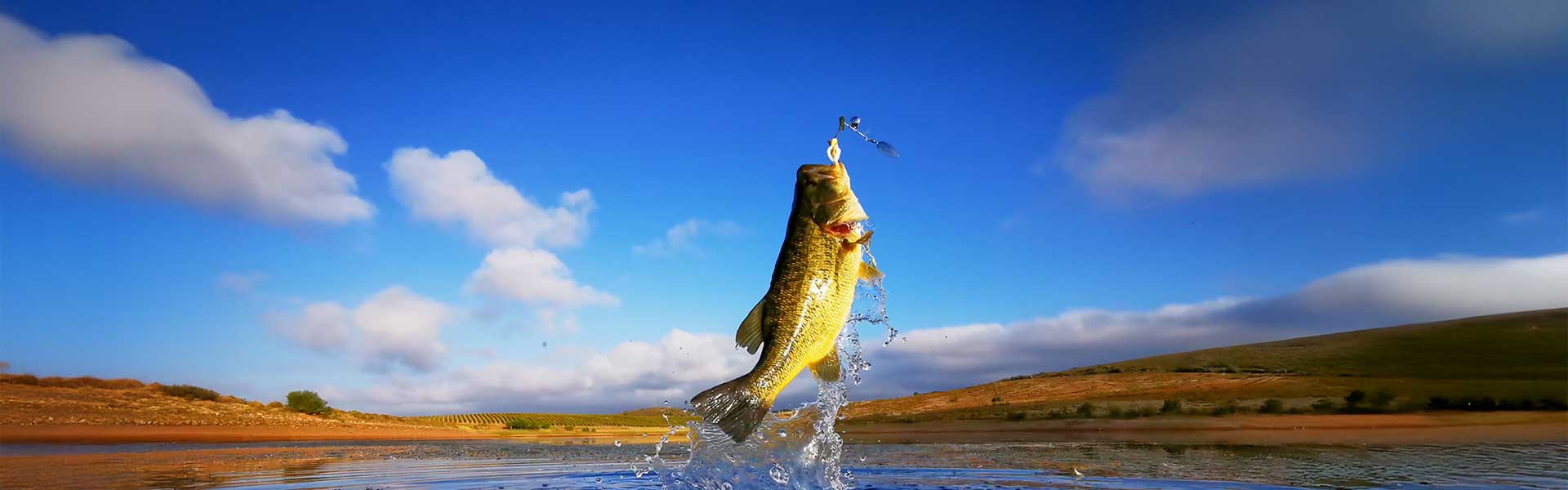 Edge Rods Bass Rods