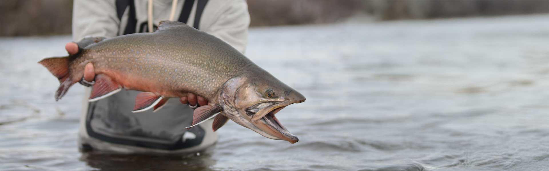 Edge Rods Steelhead Rods