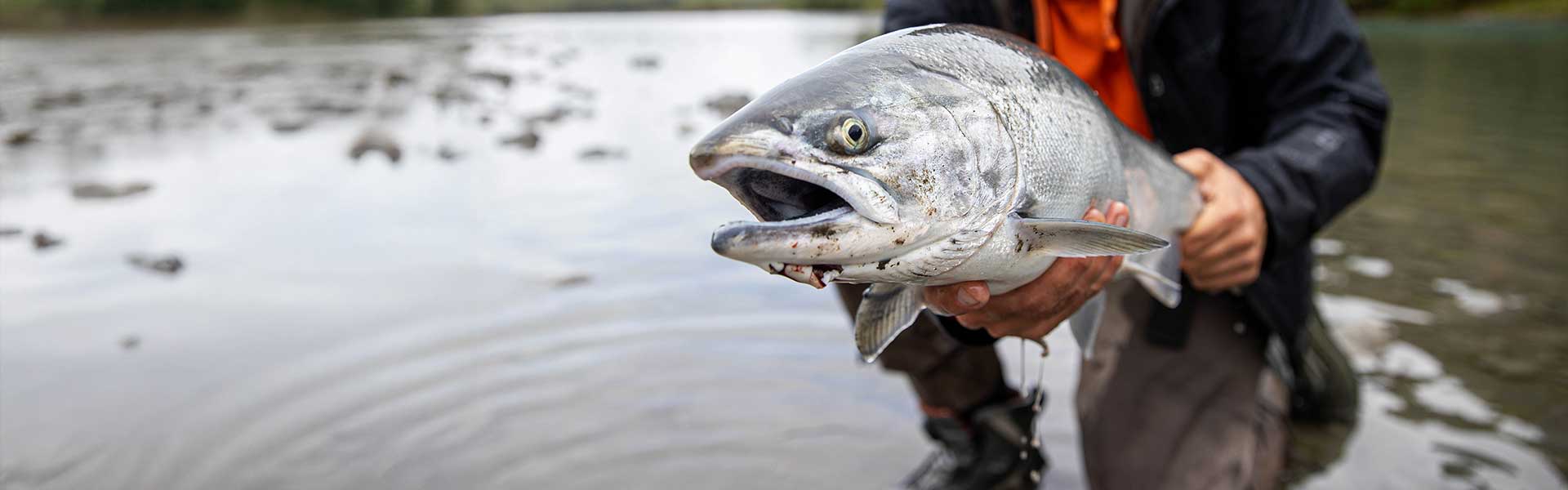 Edge Rods Salmon/UL