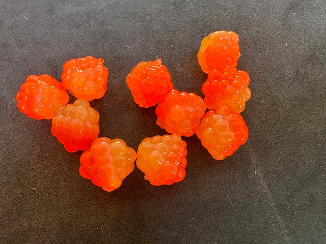 VIP Outdoors Soft Cluster "Maui Waui" 15mm - 10pack