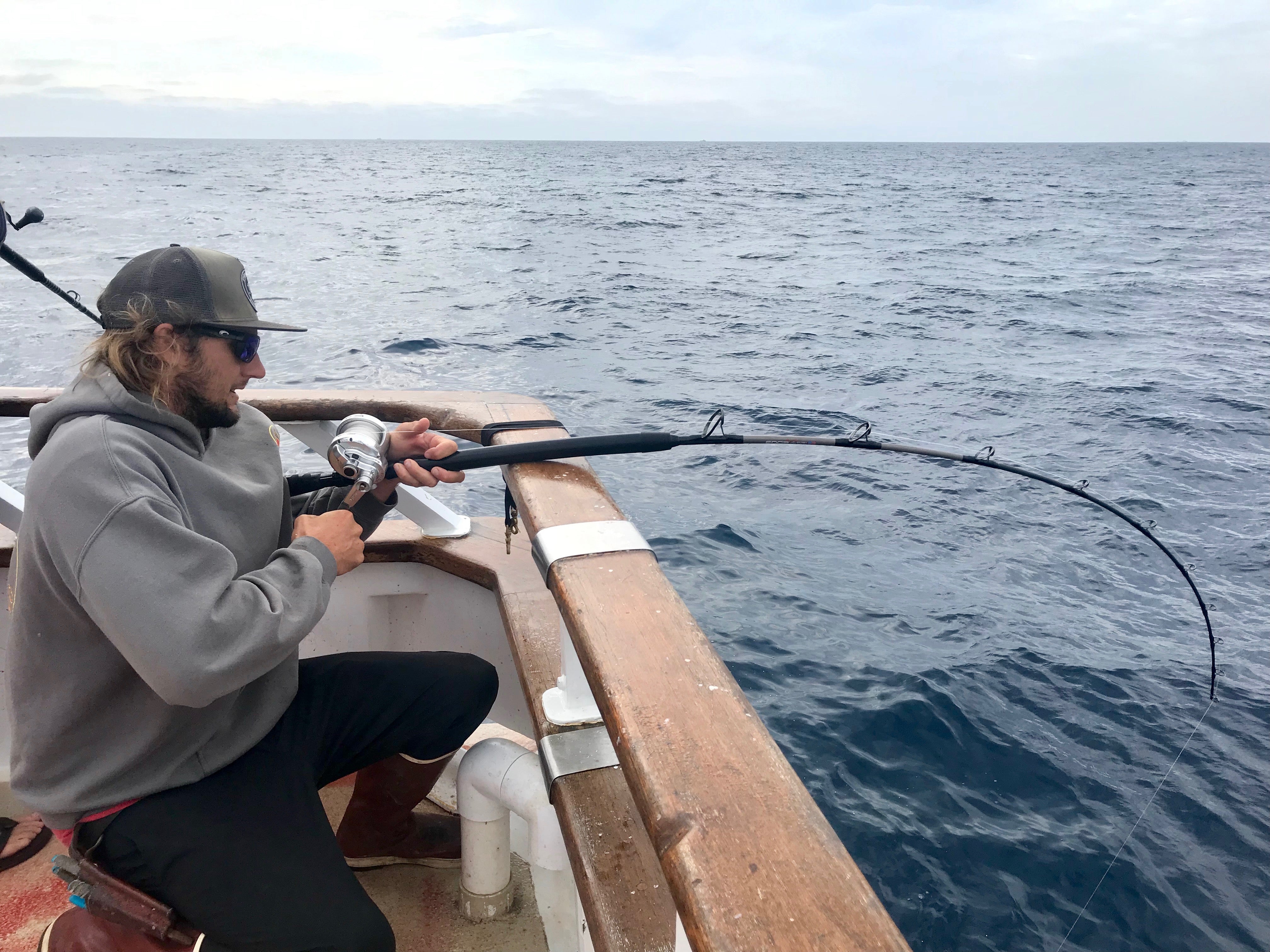 FSC HLR 76100-1