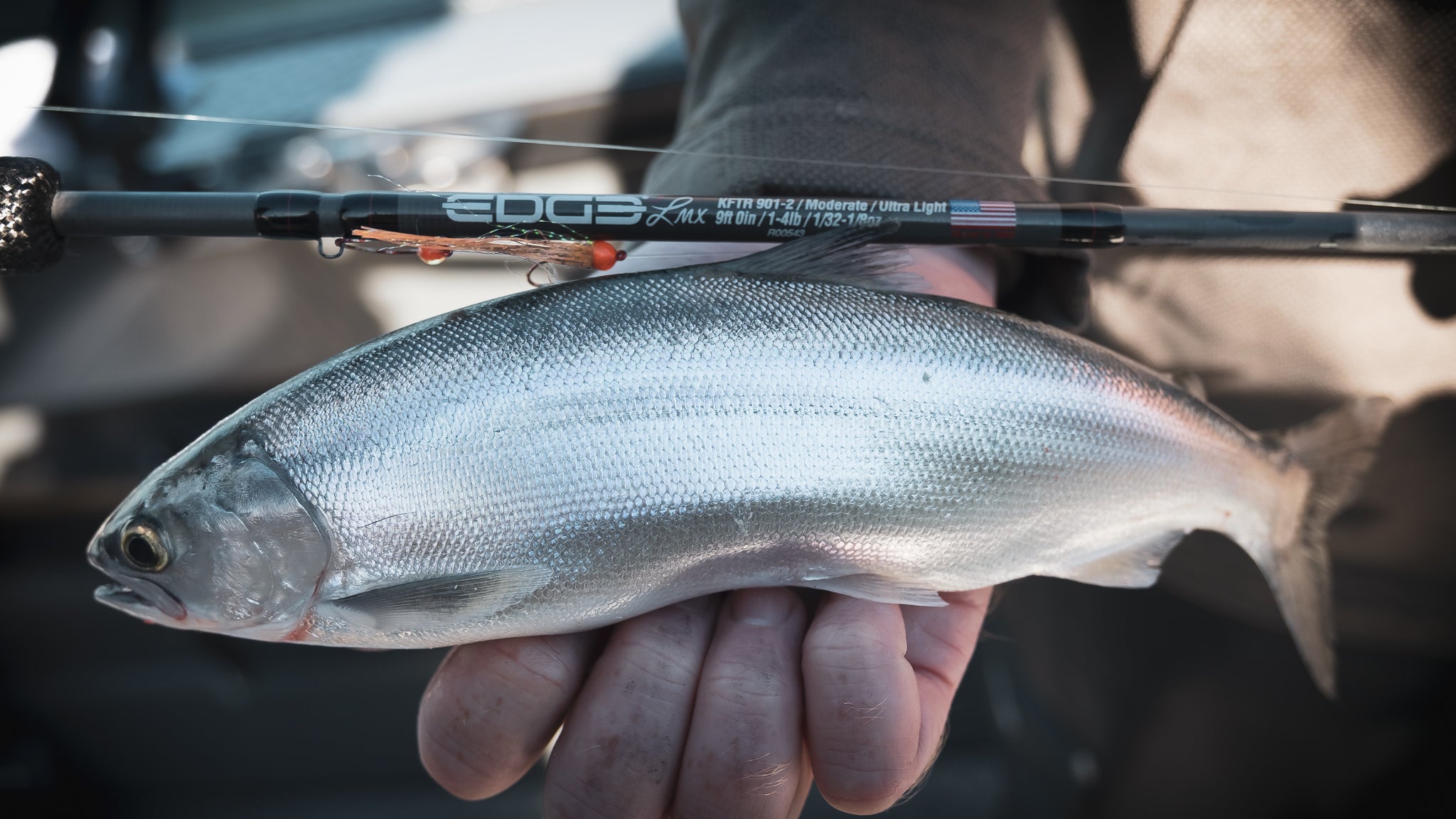 FSC KDR 760-1 LIMITED EDITION RED