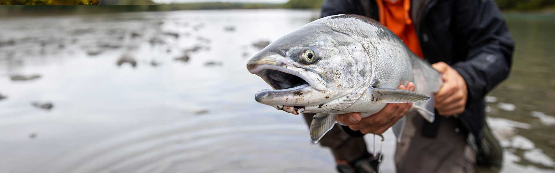 Stryker Chinook Rods