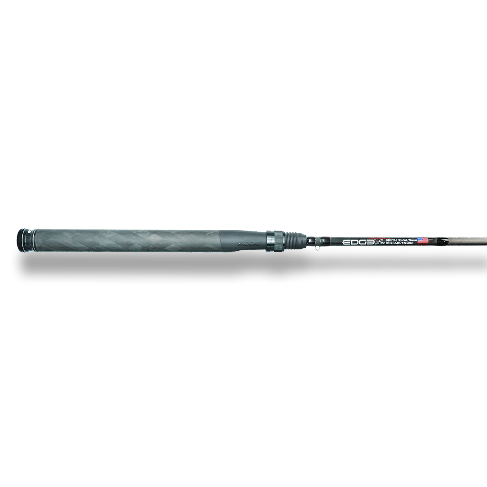 BWS DSR 711-1